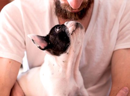 Blog-Eva-mis-Animales